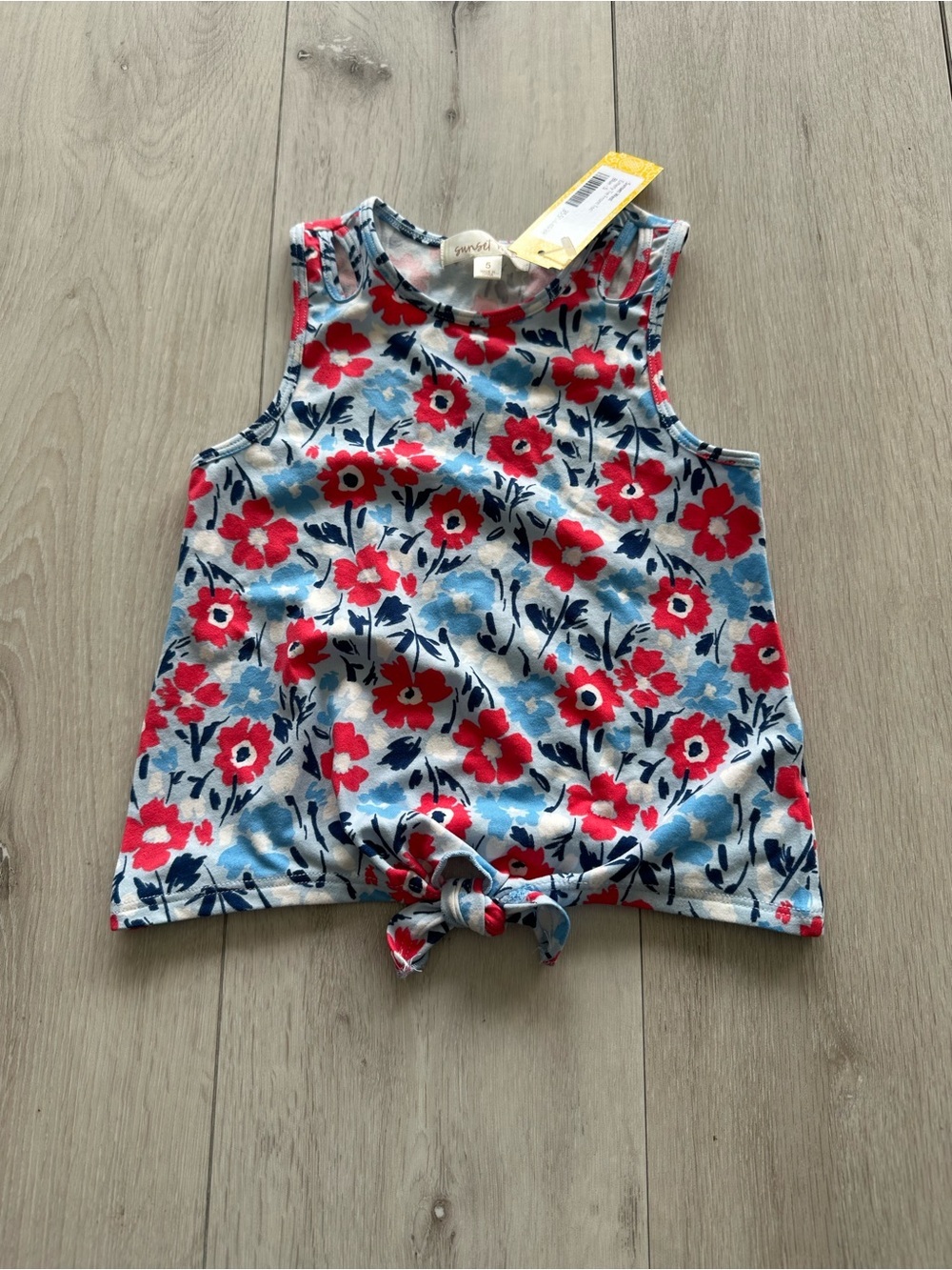 Sunset West Emery Tie Front Floral Top Blue 5 NWT STITCH FIX
